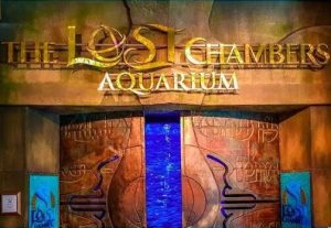 the lost chambers aquarium dubai